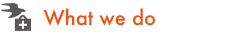 What we do