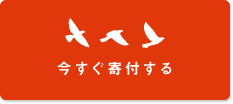 今すぐ寄付する